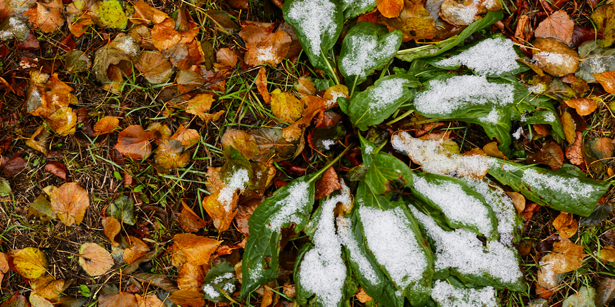 Зима близко: 33-й регион готовится перешагнуть нулевой рубеж