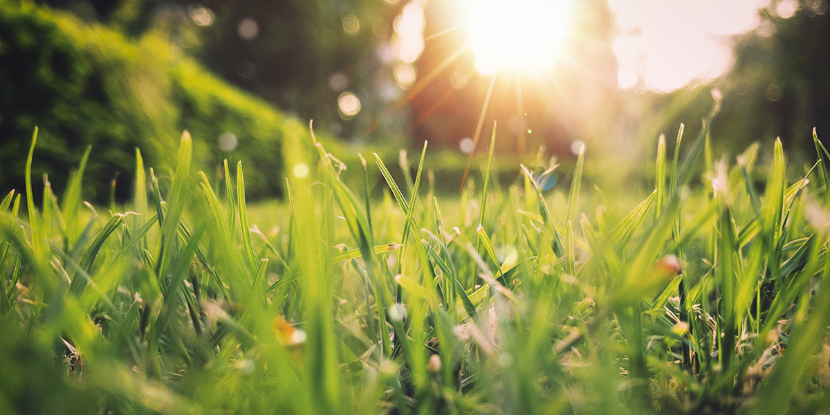 Какими будут лето и погода в ближайшие выходные