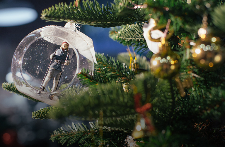 Досрочные каникулы с запретом на салюты: реалии предновогоднего Владимира