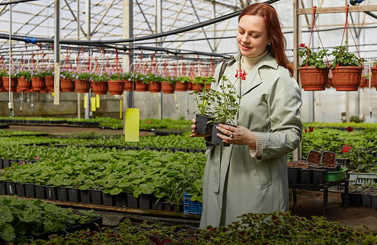 Взрощено с любовью! Озеленяем сад с помощью питомника «Рассада 33»