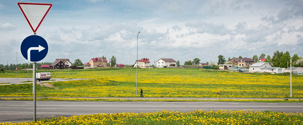 Цветники Владимира:^ где искать, когда смотреть?