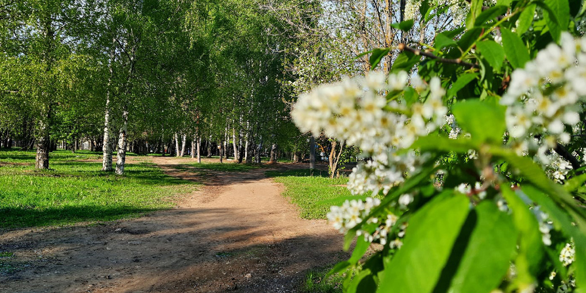 «Добросельский»-2022: итоги онлайн-голосования