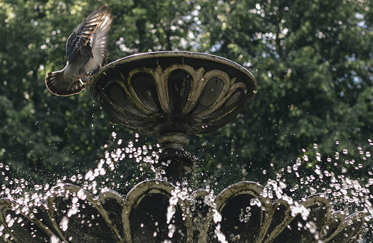 Городским фонтанам: бить или не бить?