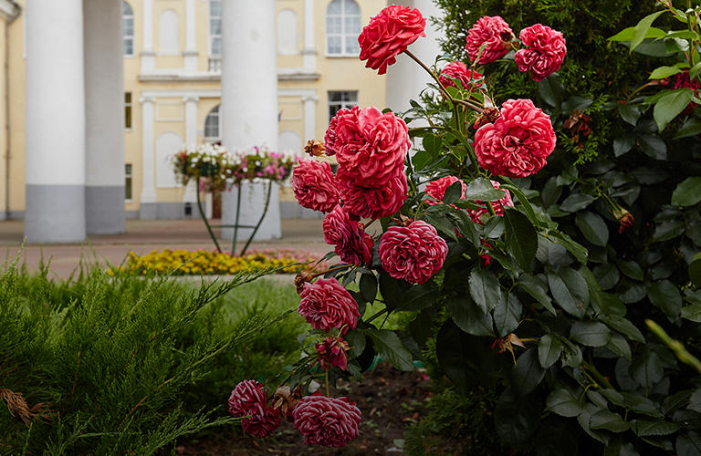 В поисках зелени. Три владимирские локации, над которыми всерьез поколдовали садовники