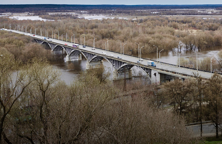 Троллейбусы в Загородный парк, трамваи по центру и другие любопытные инициативы владимирцев