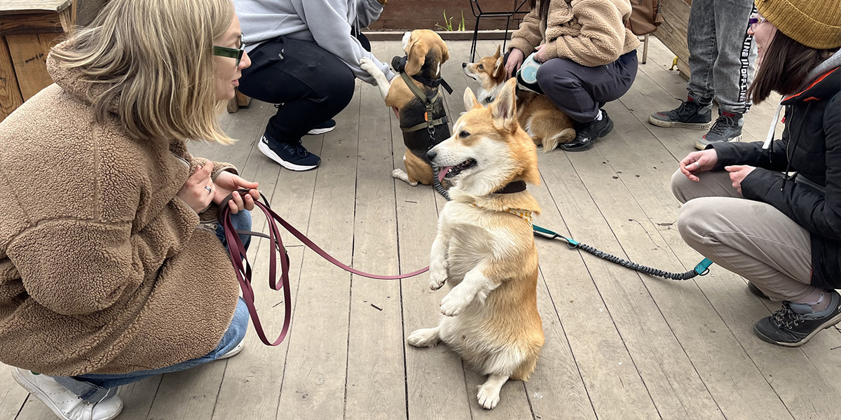 Непонятая вечеринка, или Как прошла дебютная догсвоп-пати в центре города