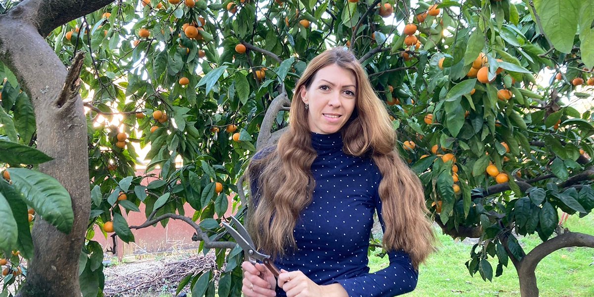 Новый год без снега и волшебной атмосферы, зато в экзотике страны мандаринов