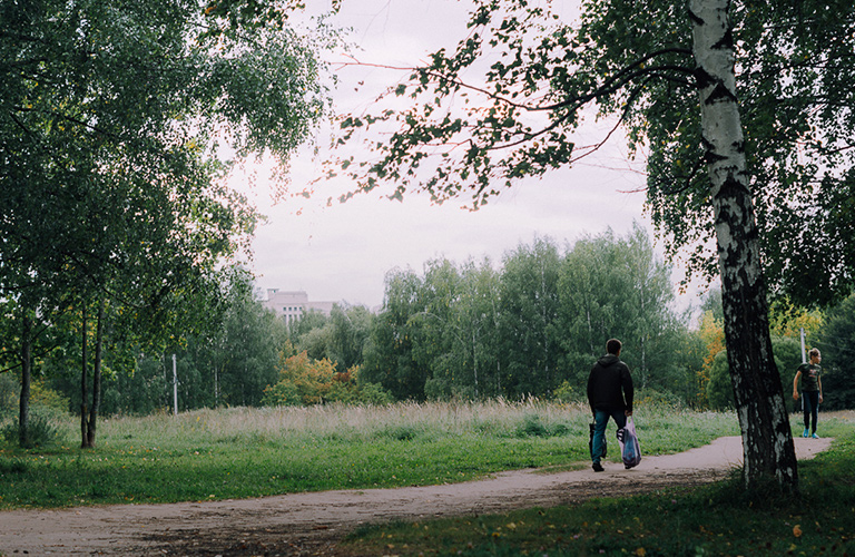 План реновации парка «Добросельский»: спилят деревья, но оборудуют дог-парк