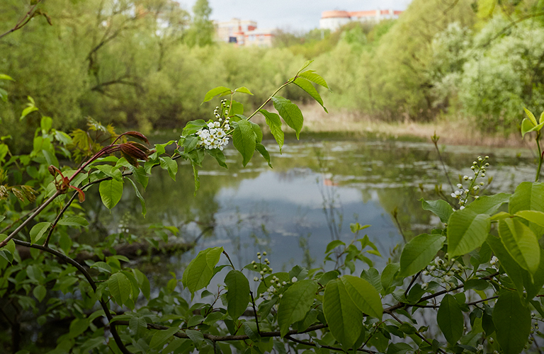 «Владимир — город ста прудов». Инспектируем самые популярные водоемы областного центра