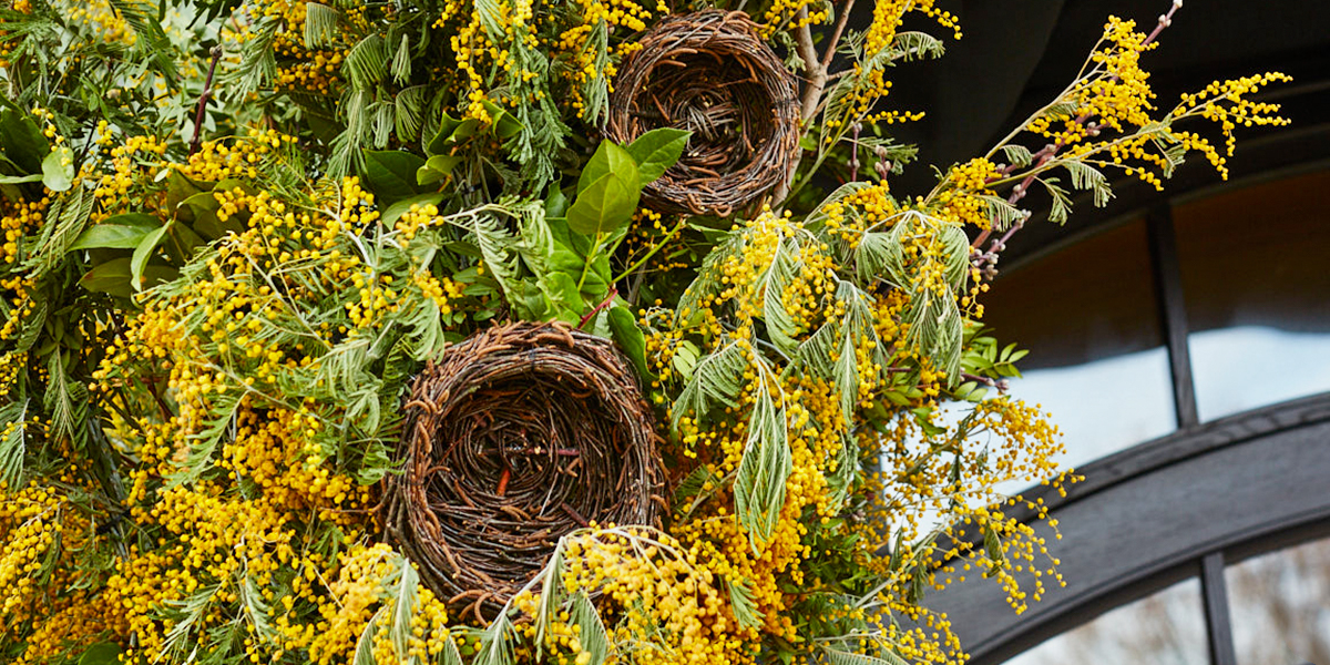 От лекций по раскрепощению до мимозы: как раньше во Владимире отмечали 8 Марта?