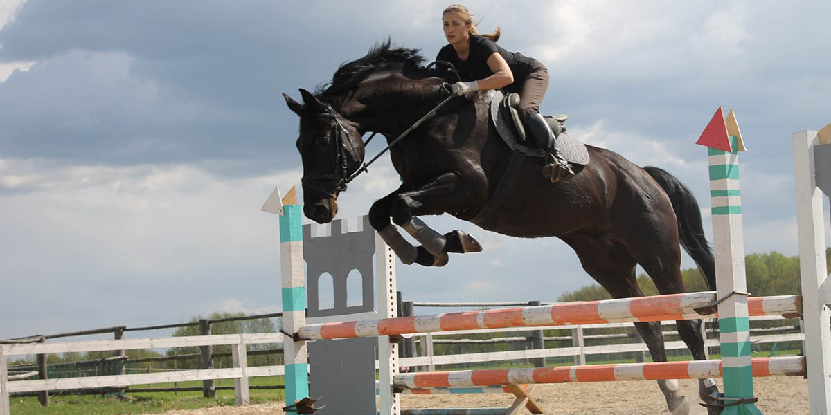 Когда ты «на коне!» Владимирские наездницы о любви и победах