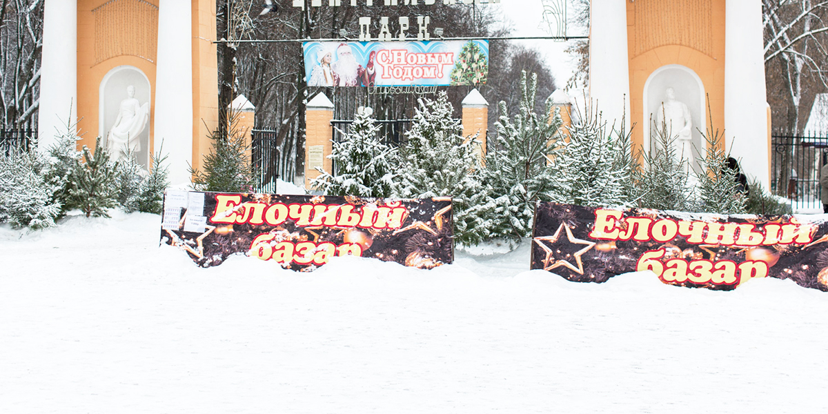 Елочные базары во Владимире заработают за неделю до Нового года