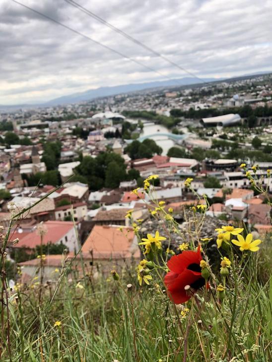 гастрономическое путешествие по Грузии