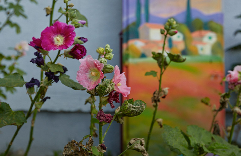 12 арт-шкафчиков во Владимире с абстракцией и духом Прованса