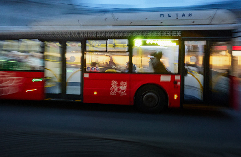 Во Владимире протестируют автобусы-гармошки и введут новый автомобильный код