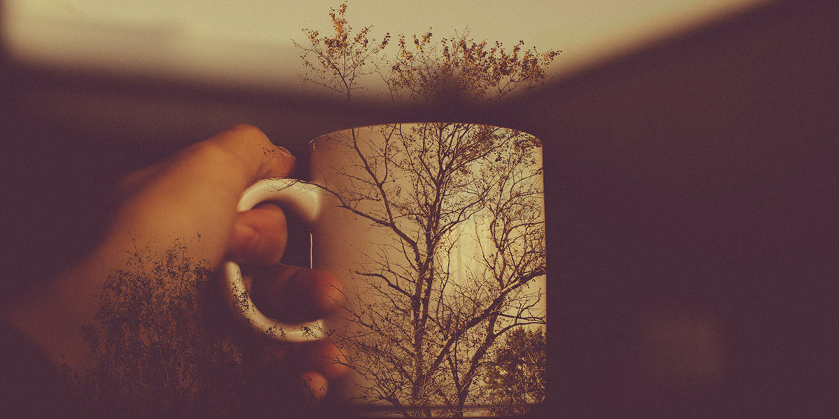 Жизнь в стиле eco-friendly