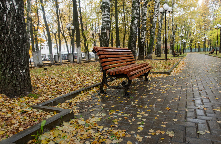 «Любовь и голуби», или прогулка по скверу у ДК молодежи