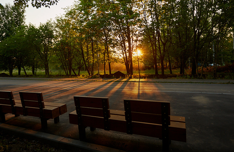 Проект для садов за ДТЮ - на старте, а концепт для Загородного парка - в перспективе