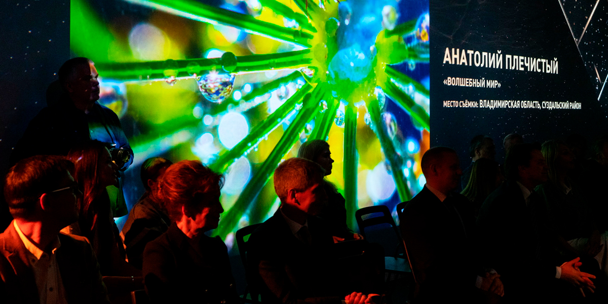 «Волшебный мир». Работа владимирца в списке лучших фотографий России