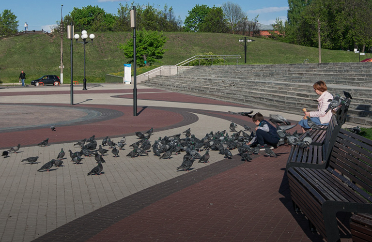 Где, как и во что играла владимирская ребятня больше 100 лет назад