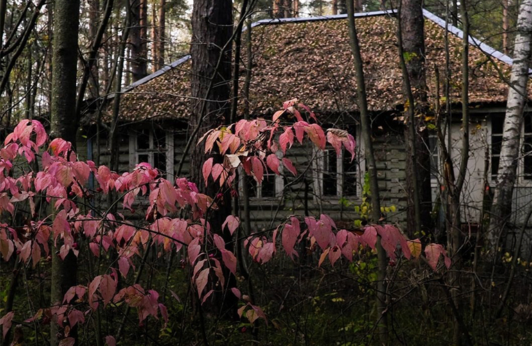 Заброшенная детская дача под Владимиром: сохранившиеся корпуса и рисунок в медпункте