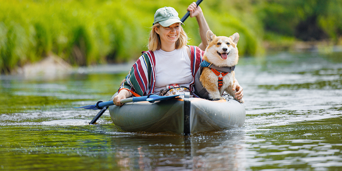 Дог-френдли туризм: в Судогодском районе прошел сплав на байдарках в компании собак