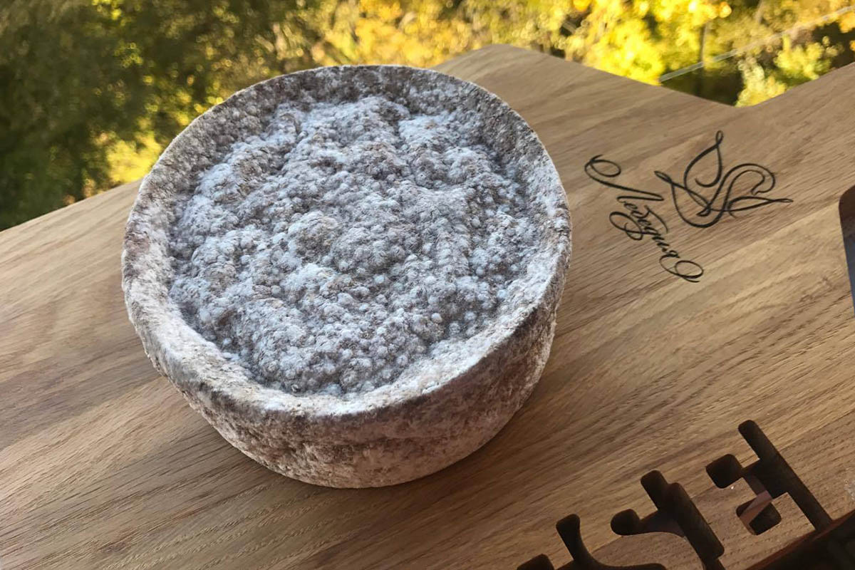 Сыры Moose из молока лосихи