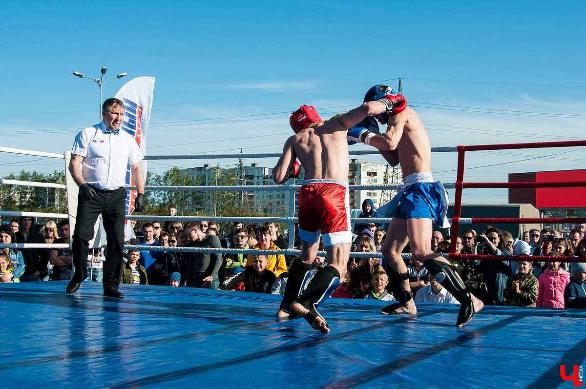 Чемпионат по кикбоксингу во Владимире