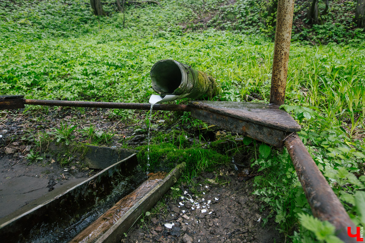 Бармен-дегустатор определил самую вкусную родниковую воду во Владимире