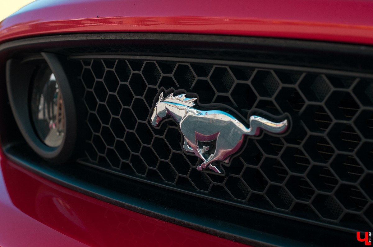 15 и 16 сентября в Суздале прошел фестиваль автомобильного тюнинга Tuning Car Awards. На него съехалось больше 100 машин со всей России