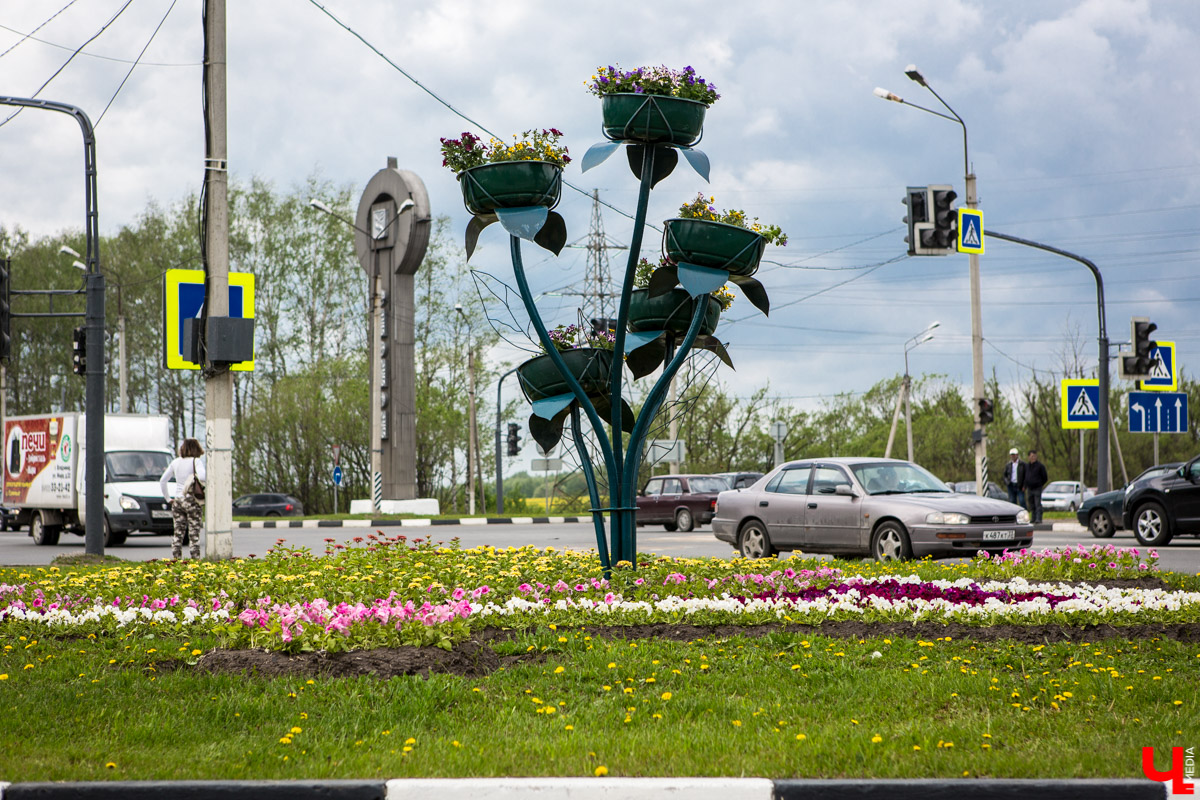 Цветники Владимира: где искать, когда смотреть? 