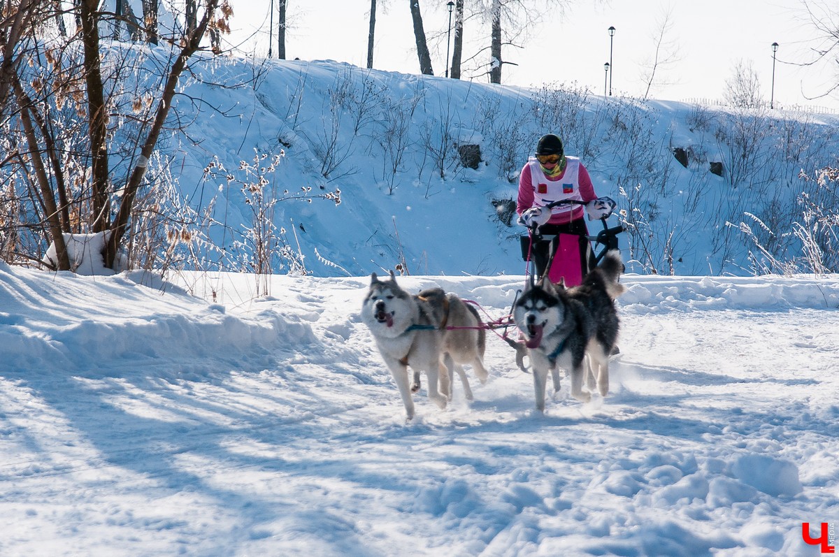 «Суздальский луг» 2018