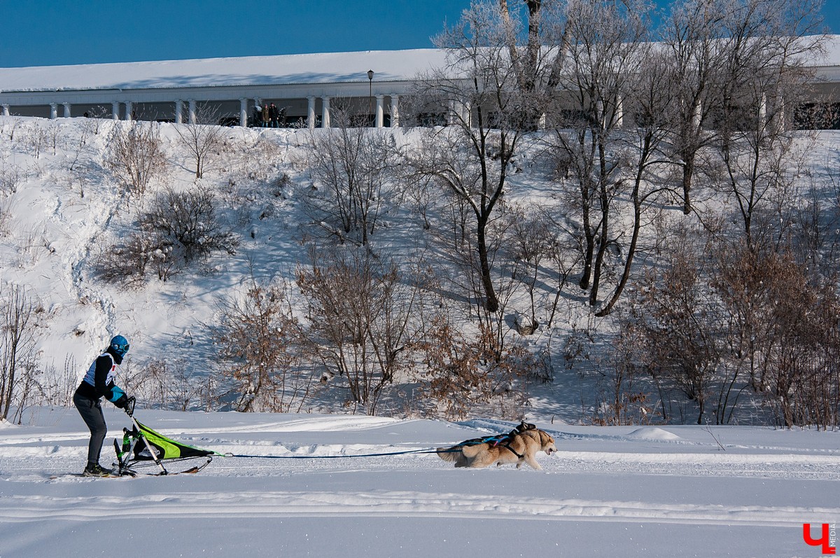 «Суздальский луг» 2018
