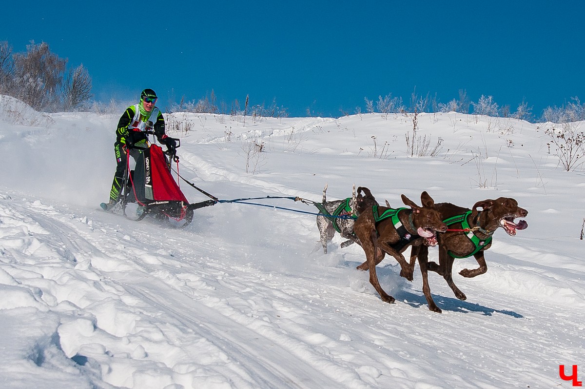 «Суздальский луг» 2018