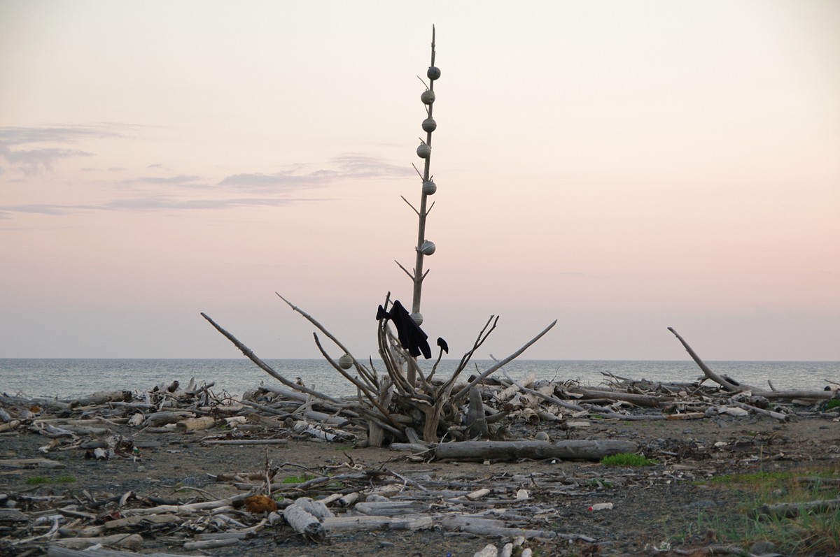 Капитан тримарана “Пола” Дмитрий Козлов, совершивший путешествие из Баренцева в Белое море, рассказал о том, страшно ли двое суток идти в шторм, стоит ли бояться медведей и какая рыба клюет в северном океане