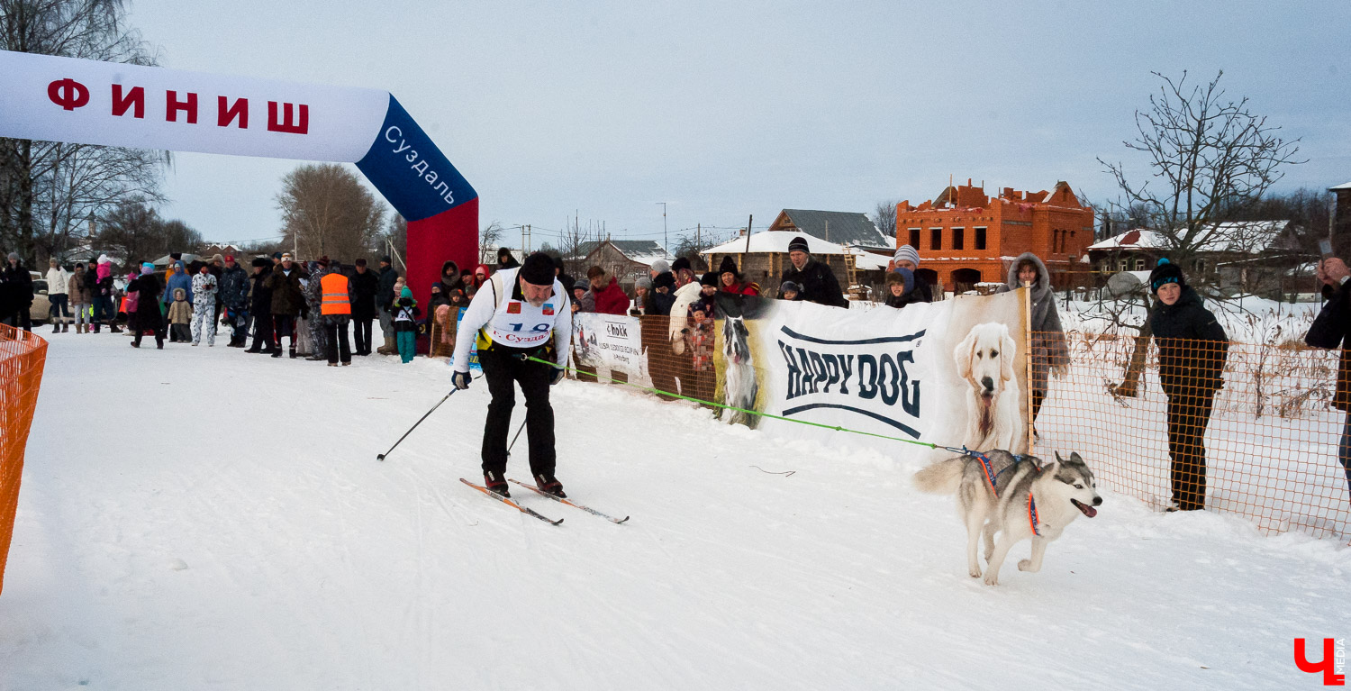 Гонки на собачьих упряжках в Суздале Гонки на собачьих упряжках в Суздале