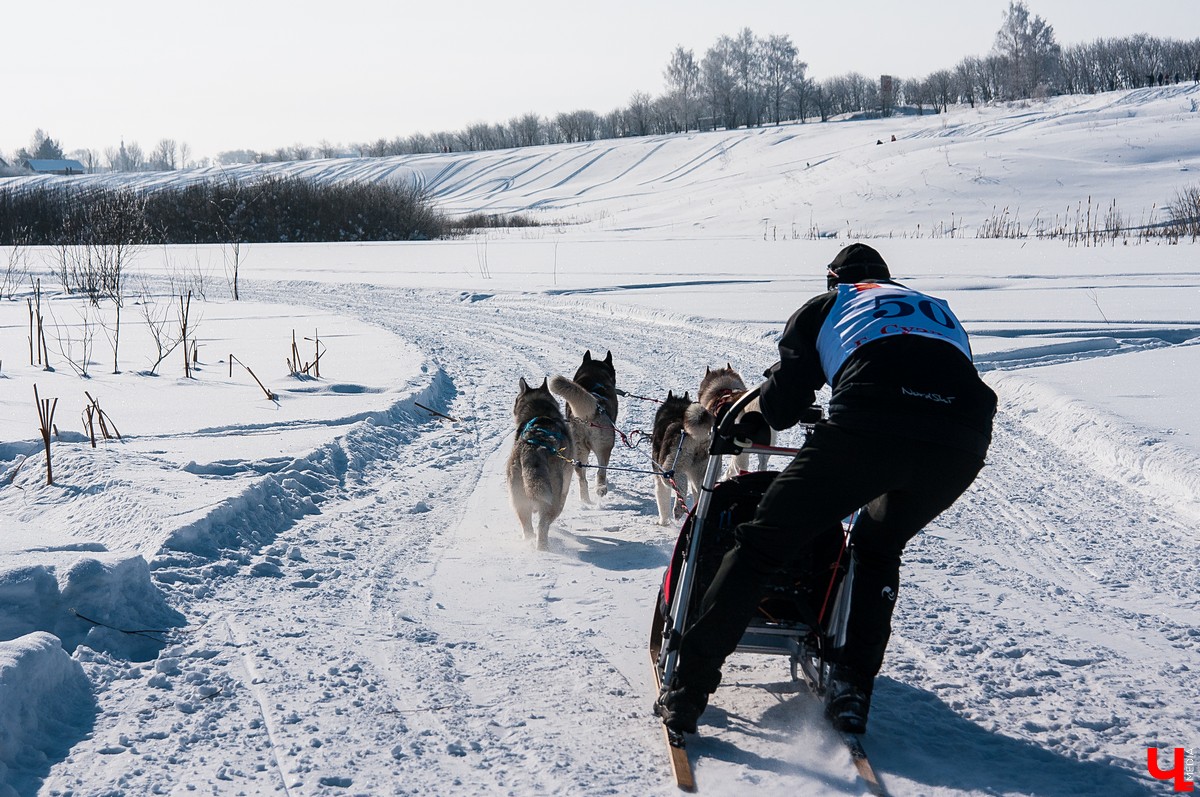 «Суздальский луг» 2018