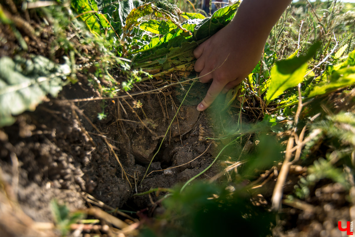 Гид Денис Лапин провел необычную экскурсию по Суздалю. Он показал журналисту Ключ-Медиа загадочные провалы, тайные подземелья и древние вещи, найденные местными жителями