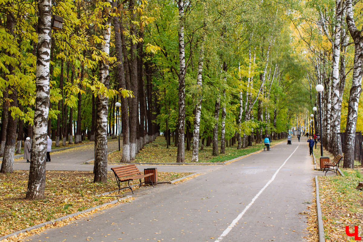 Сначала было Козье поле, затем владимирская ВДНХ, потом парк 850-летия города и Центральный. История одного из любимых мест отдыха во Владимире
