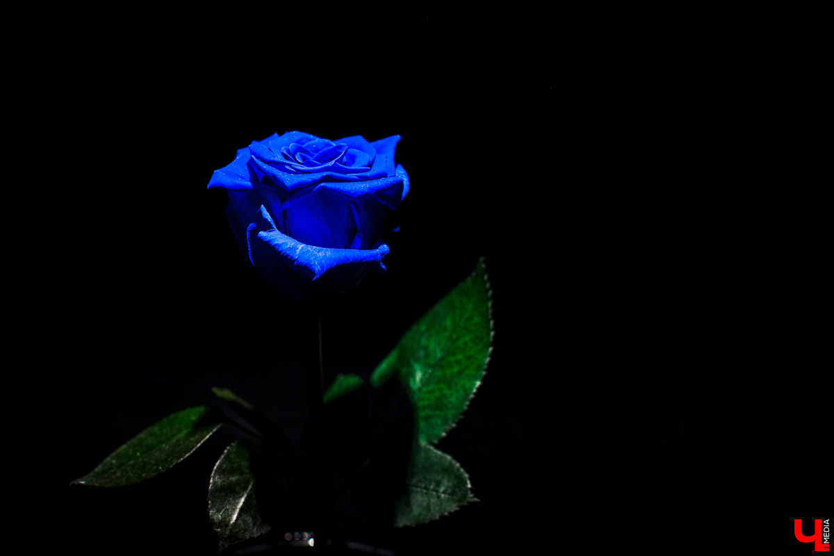 Салон флористики “Краснова” во Владимире