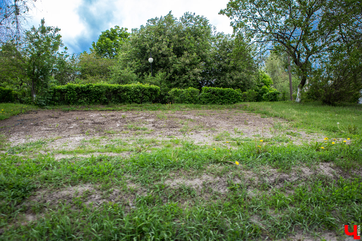 Цветники Владимира: где искать, когда смотреть? 