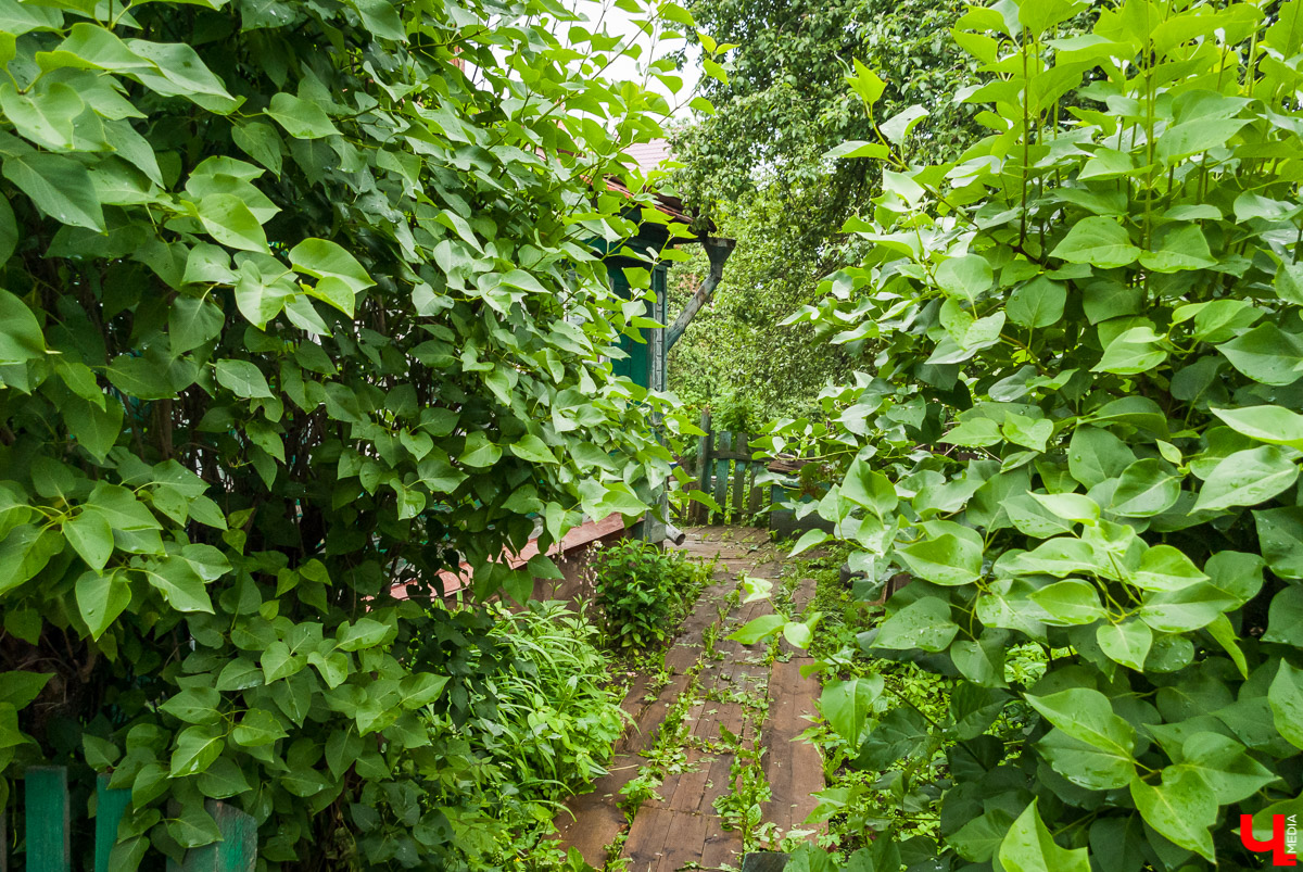 По доброй воле: Как по Доброму экскурсию водили