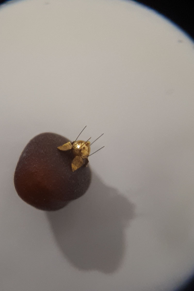 До 18 августа во Владимире можно увидеть подкованную блоху и другие микроминиатюры русского мастера Владимира Анискина. Корреспондент “Ключ-Медиа” побывал на выставке и сделал фоторепортаж