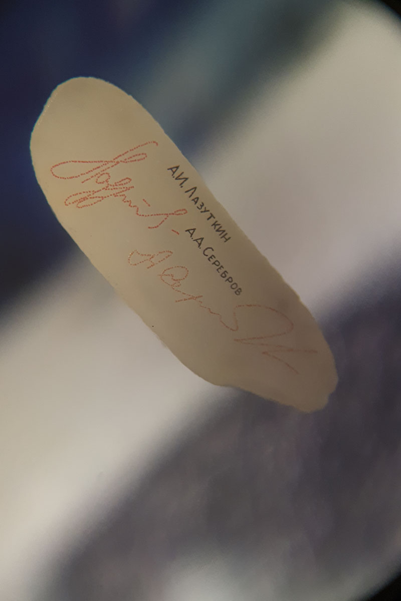 До 18 августа во Владимире можно увидеть подкованную блоху и другие микроминиатюры русского мастера Владимира Анискина. Корреспондент “Ключ-Медиа” побывал на выставке и сделал фоторепортаж