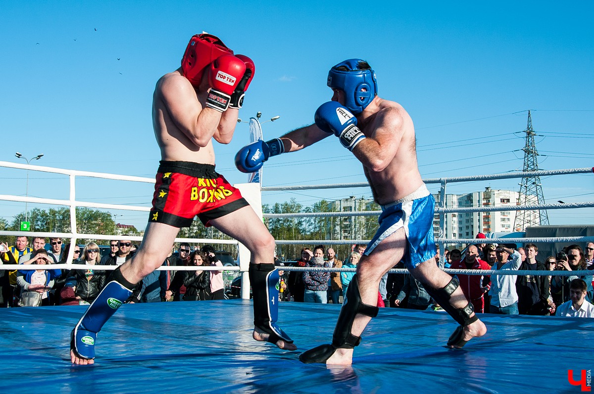 Чемпионат по кикбоксингу во Владимире
