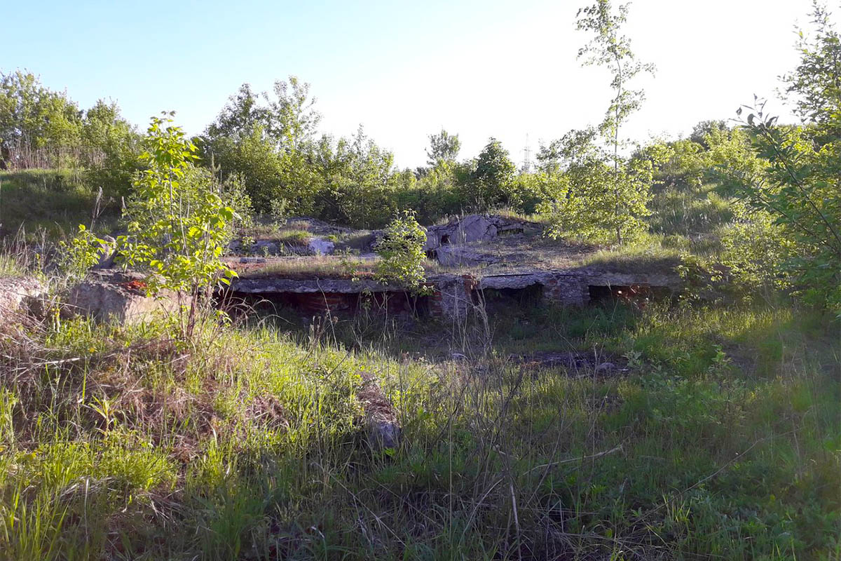 На восточной окраине Владимира есть непримечательное большое поле, на котором располагается стоянка Сунгирь. Это стоянка древнего человека. Алексей Алексеев рассказал «Ключ-Медиа», в каком состоянии находится памятник