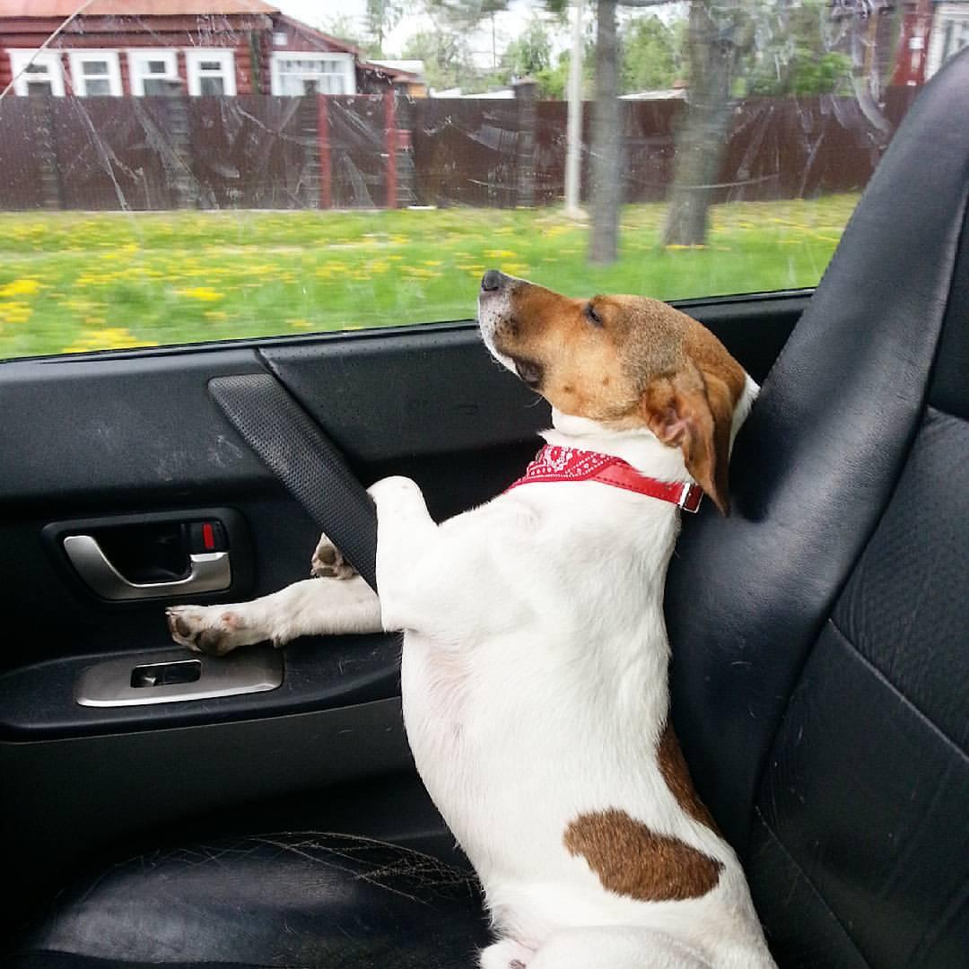 самодельный дом на колесах