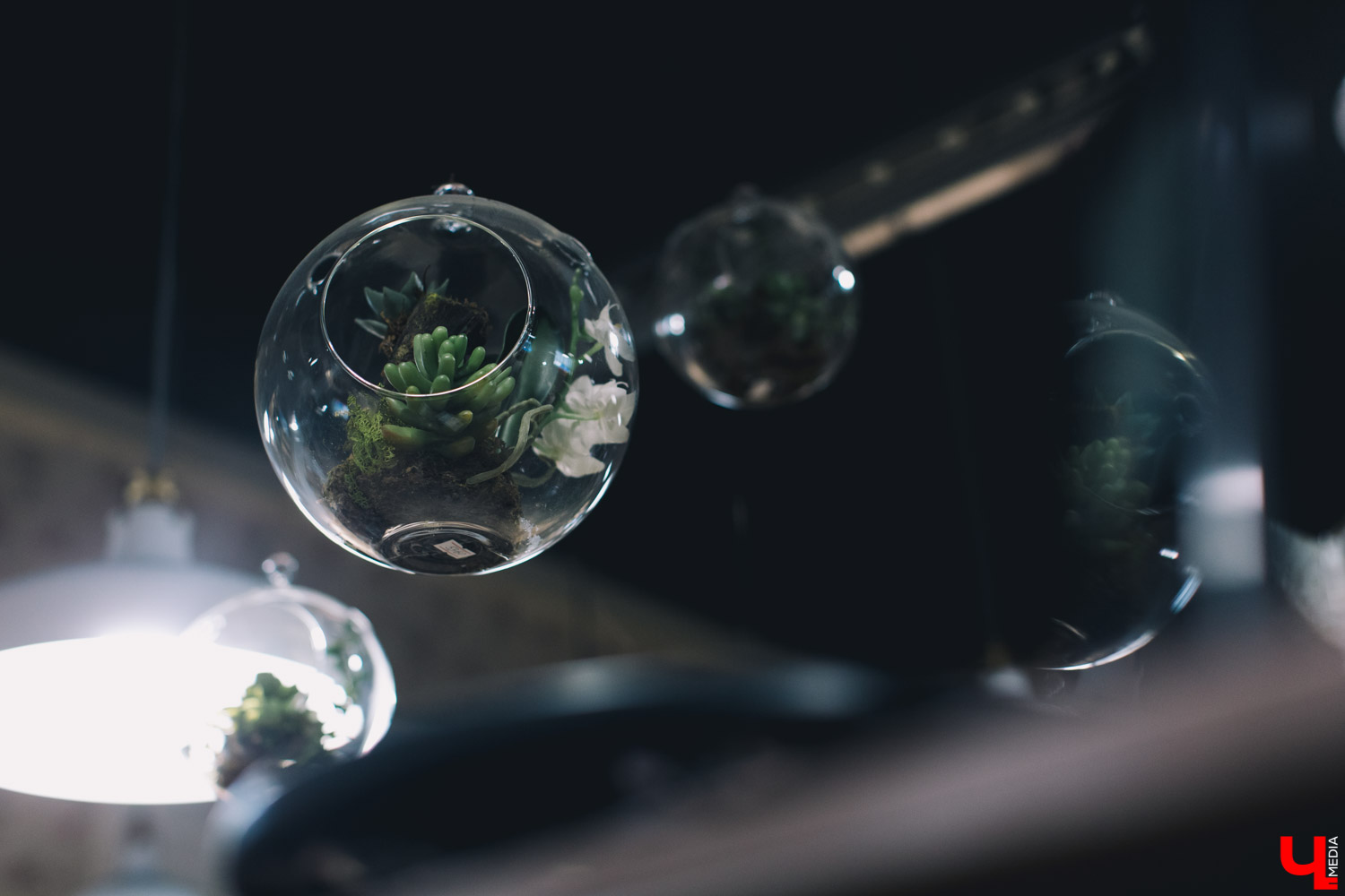 Флора Центр