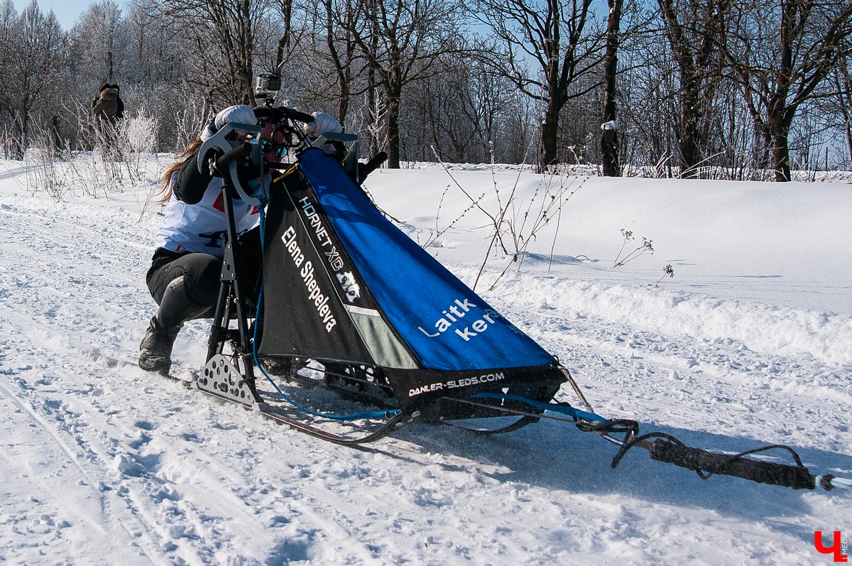 «Суздальский луг» 2018