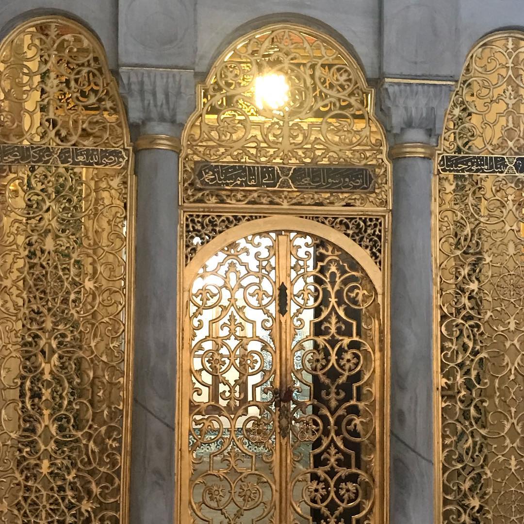 Влада Пайзулаева из Владимира оригинально отметила свой юбилей. Она с шестью подругами отправилась в Грузию, а оттуда в Турцию. Как отрывались девушки - именинница рассказала в интервью